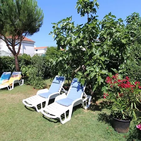 Guest house Miro Vantacici